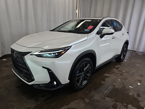 2022 Lexus NX