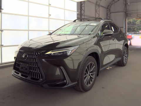 2024 Lexus NX