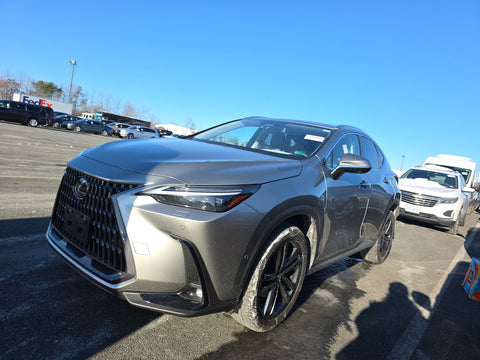 2024 Lexus NX