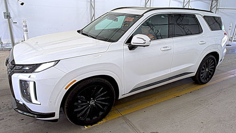2025 Hyundai Palisade